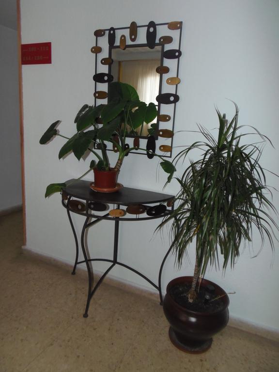 אלביר Hostal Ventorrillo מראה חיצוני תמונה